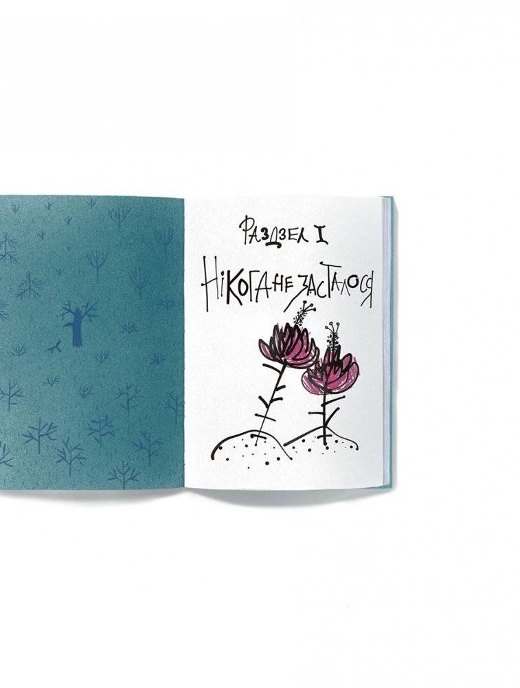 Таямнічы сад фото книги 3