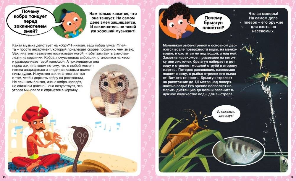 Почему? 100 вопросов и ответов в картинках фото книги 3