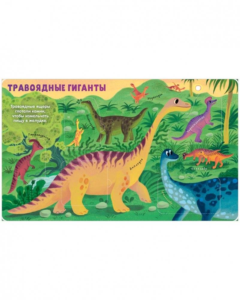 Книжка с окошками. Динозавры фото книги 5