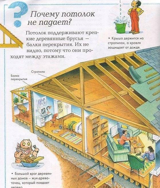 Что, зачем и почему? фото книги 4