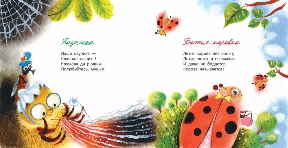 Ёжики фото книги 7