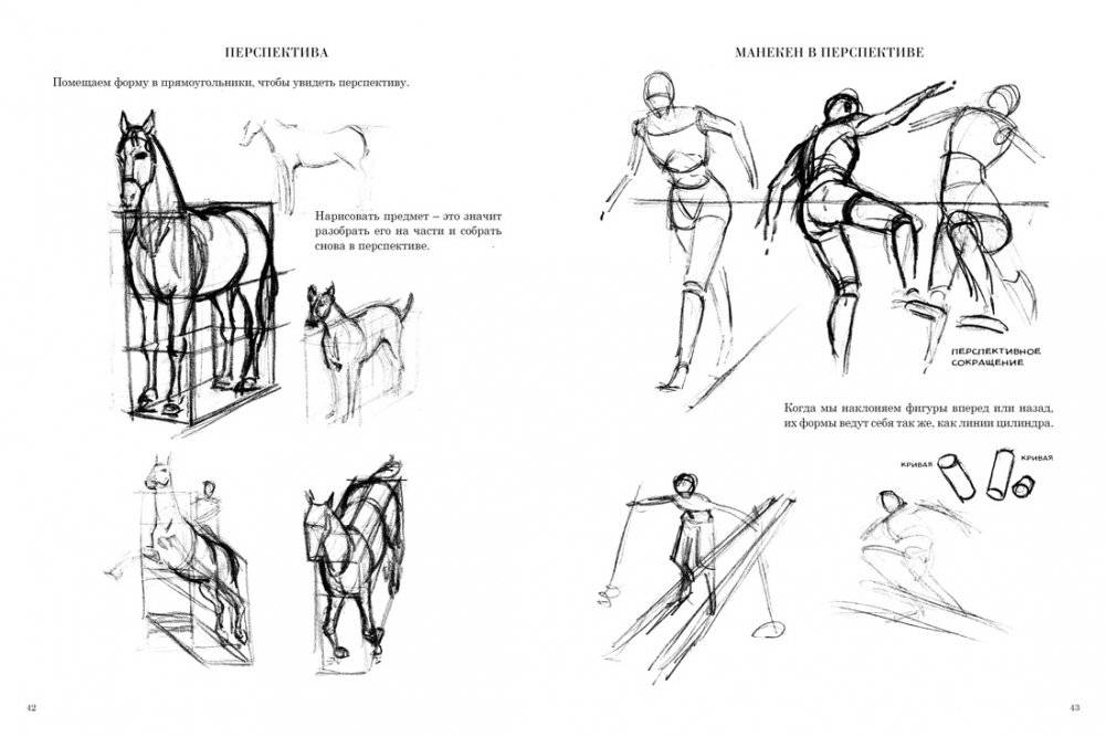 Начинаем рисовать. От первых шагов до профи фото книги 5