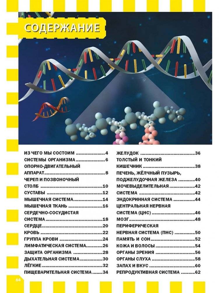 Как работает твоё тело. Детская энциклопедия фото книги 10
