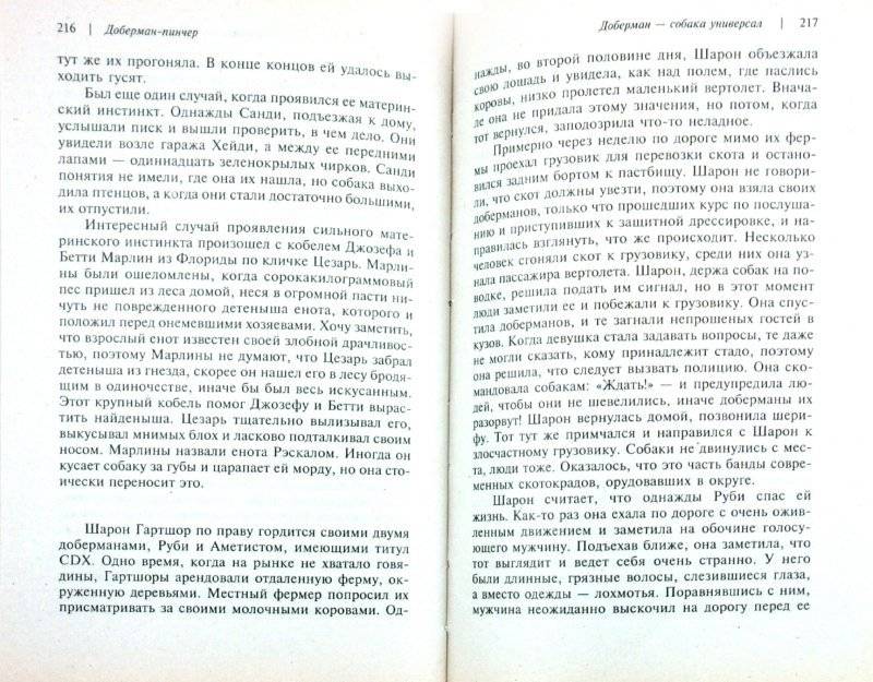 Доберман-пинчер фото книги 2