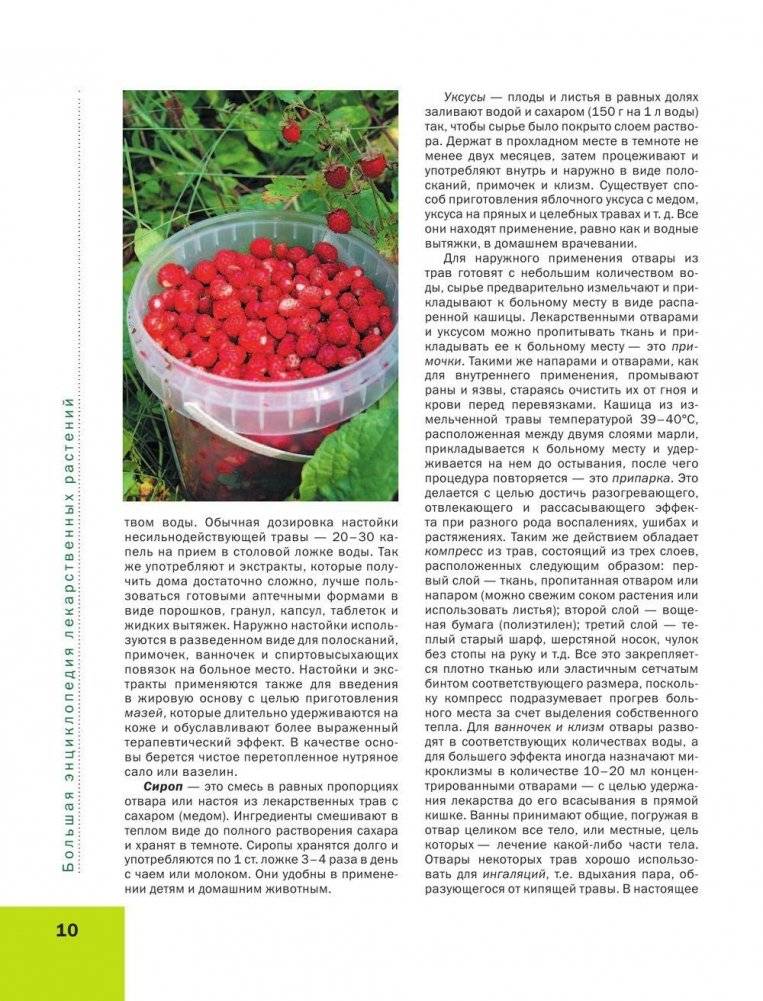 Лекарственные растения. Большая иллюстрированная энциклопедия фото книги 11