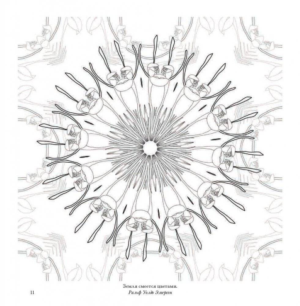 Флоросфера. Вдохновение фото книги 9