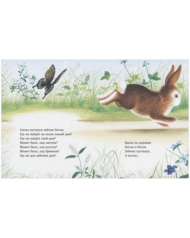 Зайчик ищет дом фото книги 2