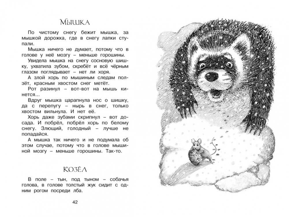 Сорочьи сказки фото книги 4