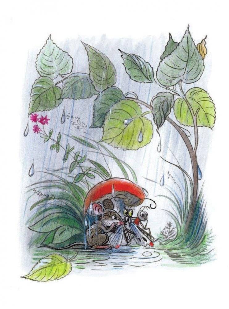 Книга сказок В. Сутеева фото книги 11