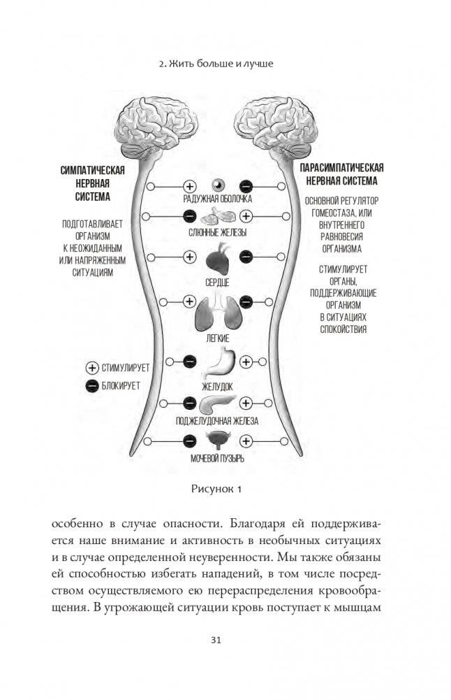 Дыхание и медитация осознанности. Как сохранять спокойствие в любых жизненных ситуациях фото книги 11