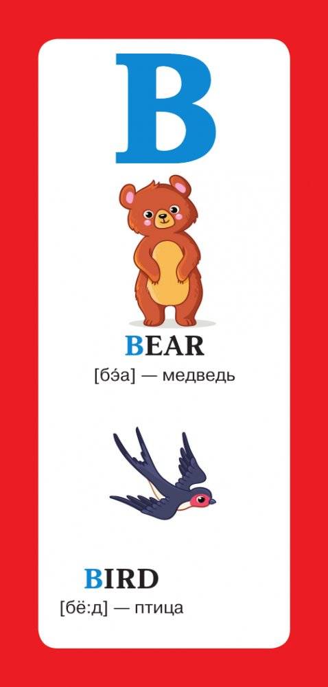 Английские слова в картинках фото книги 5