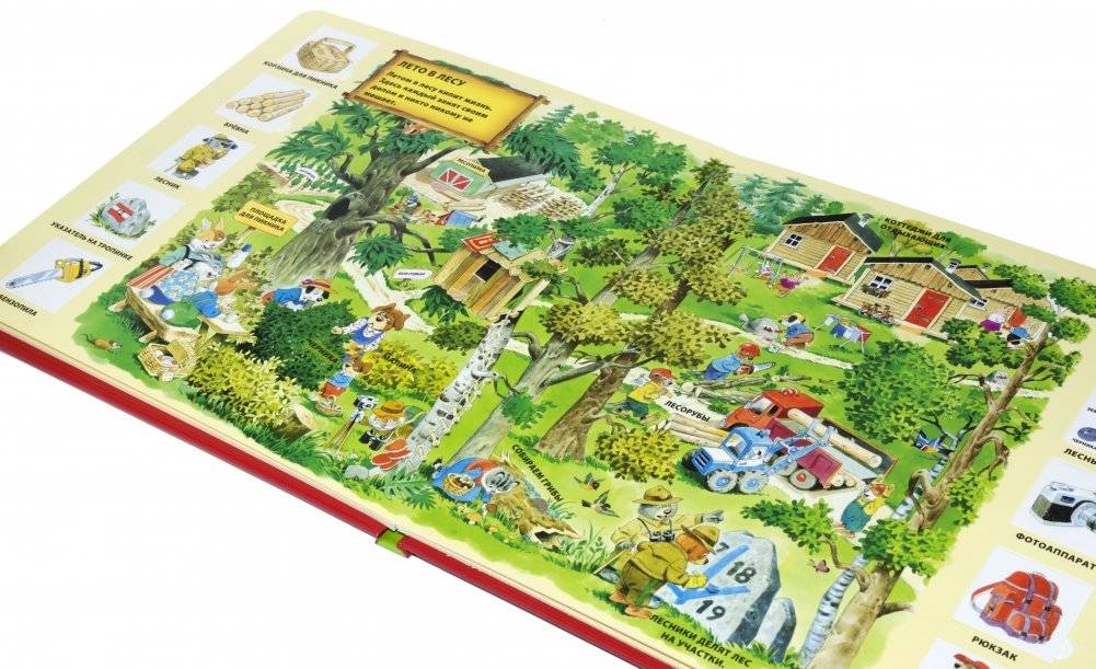 В лесу фото книги 3