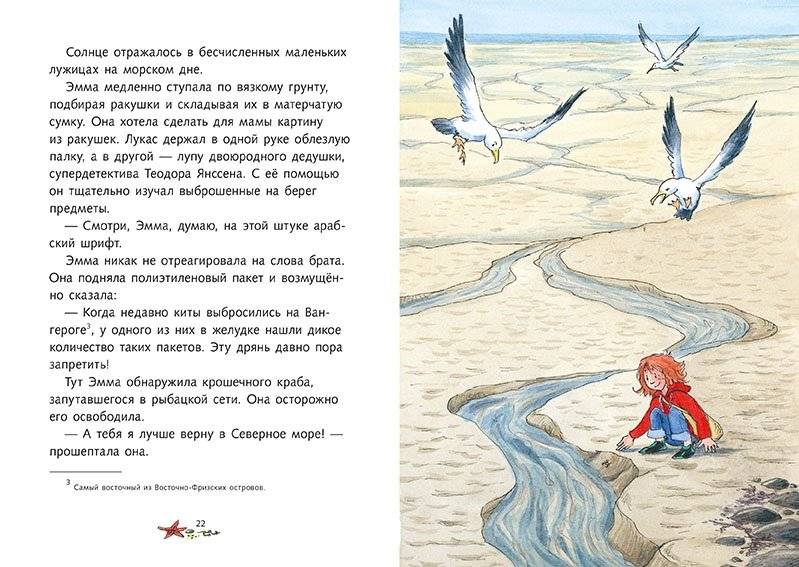 Детективы Северного моря. Книга 5: Пиратские сокровища фото книги 2