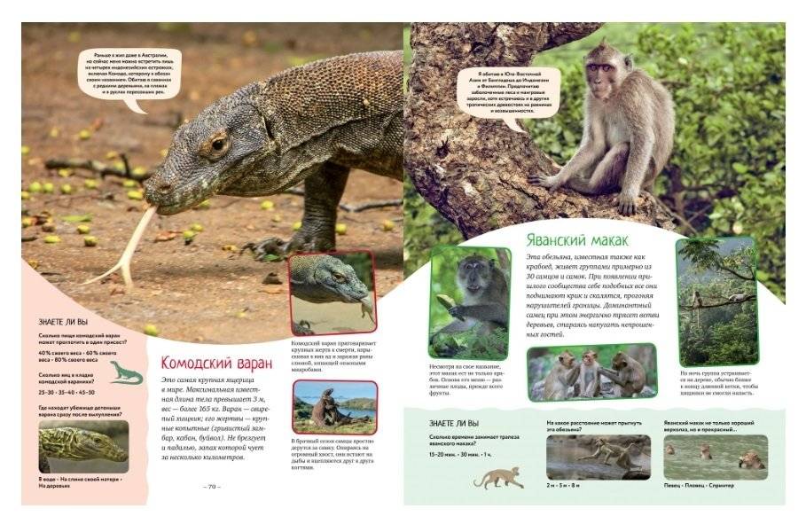 Яркий мир животных фото книги 4
