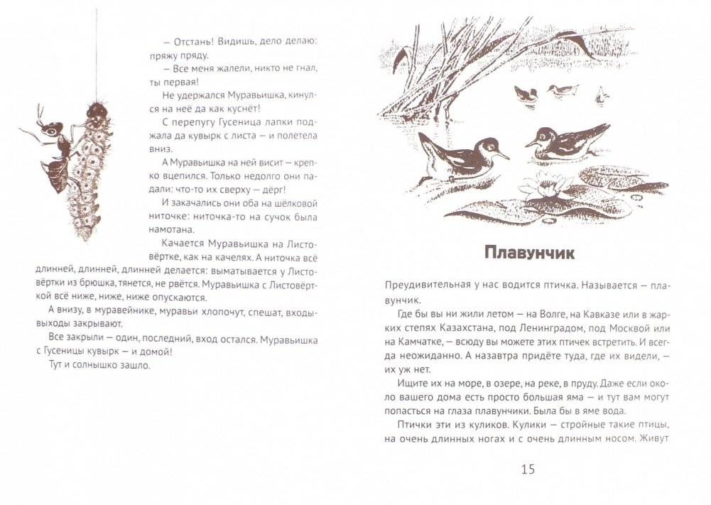 Лесные сказки фото книги 2