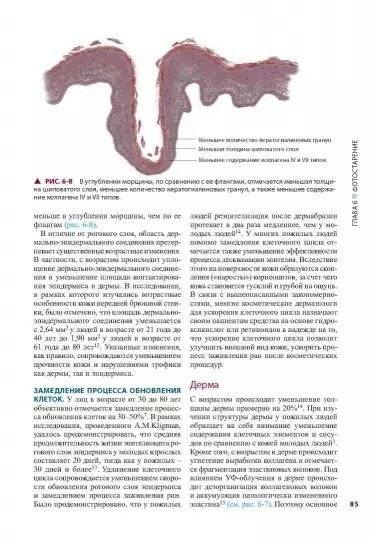 Косметическая дерматология. Принципы и практика. Руководство фото книги 10