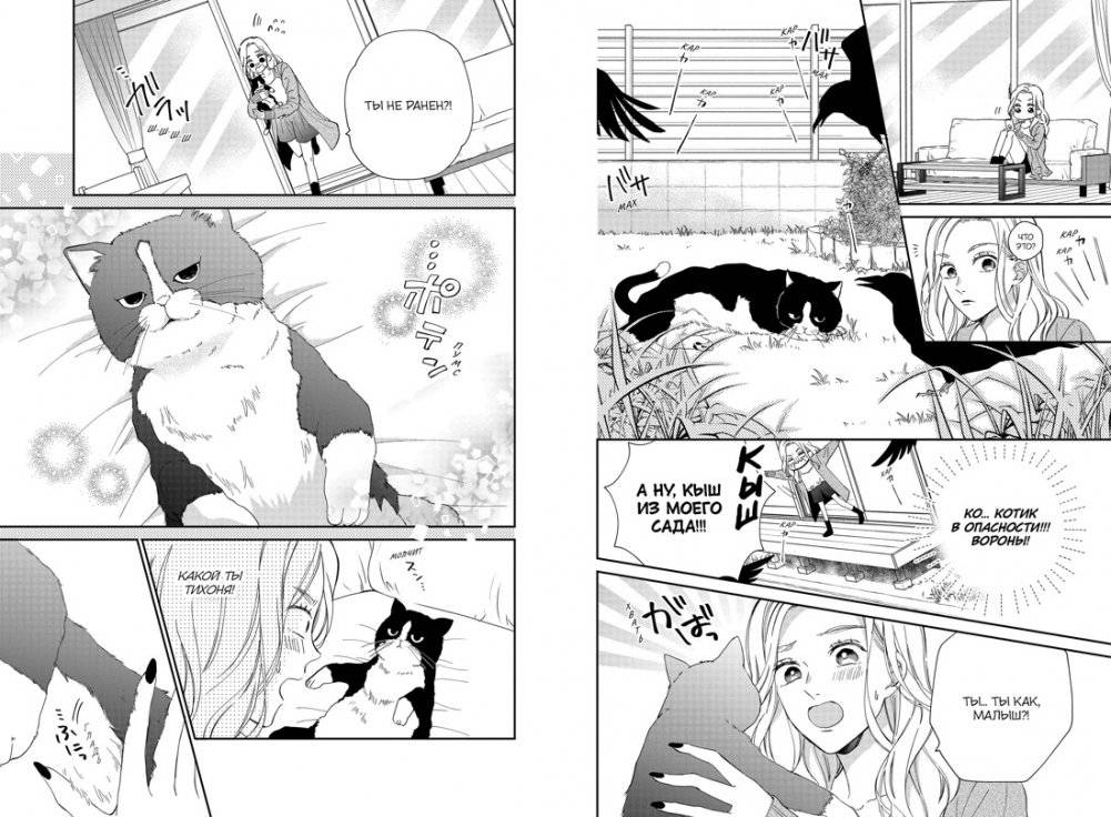 Кот и поцелуй. Том 1 фото книги 5