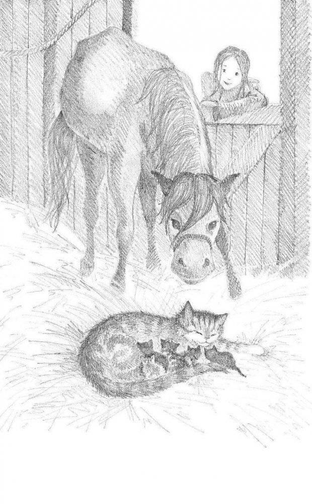 Котёнок Пушинка, или Рождественское чудо (выпуск 4) фото книги 10