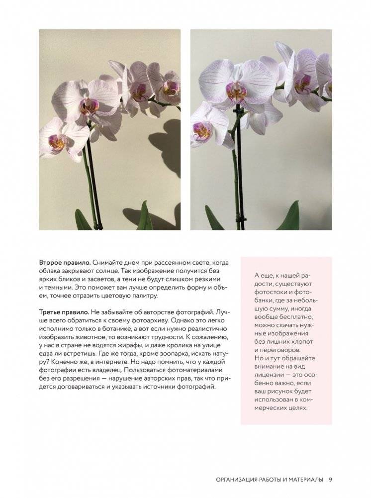 Кролики-пионы от Оксаны Фоминой. Авторская акварельная иллюстрация за 14 уроков фото книги 9