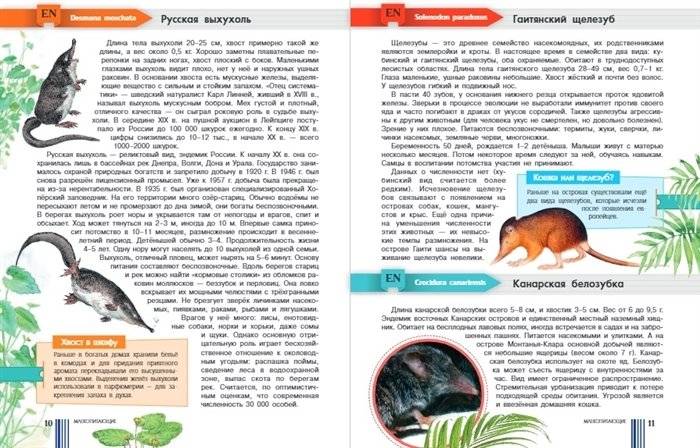 Красная книга мира фото книги 5