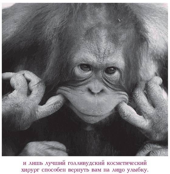 Капелька храбрости. Как достойно встречать трудности жизни фото книги 7