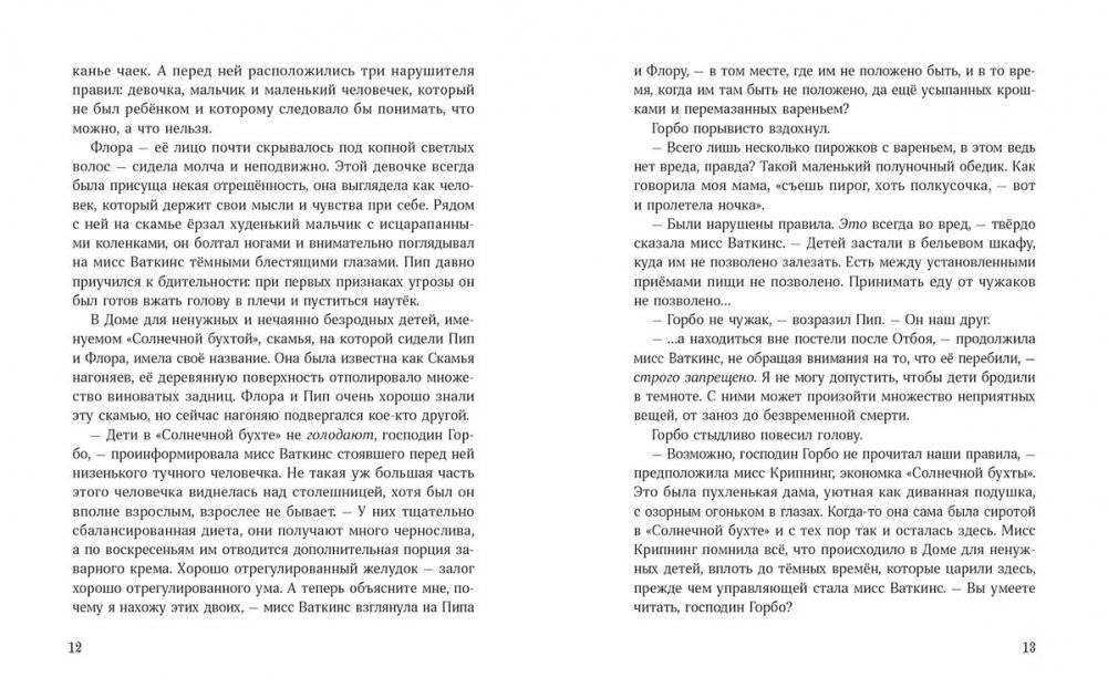 Изумительная Страна Снергов фото книги 6