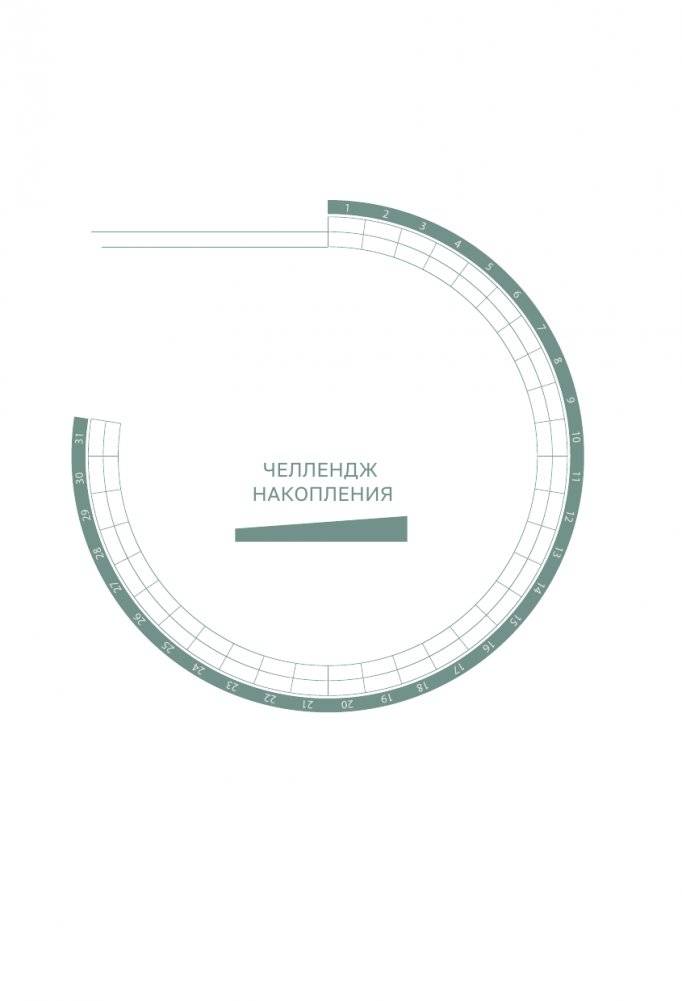 Check your money. Ежедневник финансовой грамотности фото книги 10