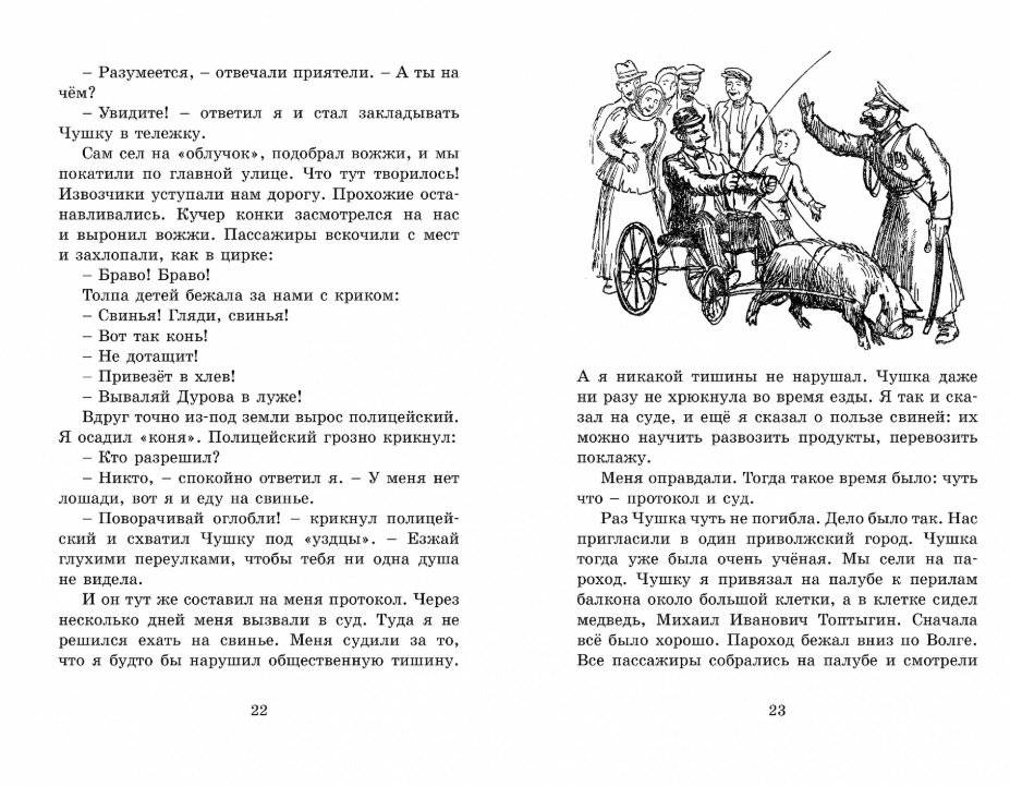 Мои звери фото книги 2