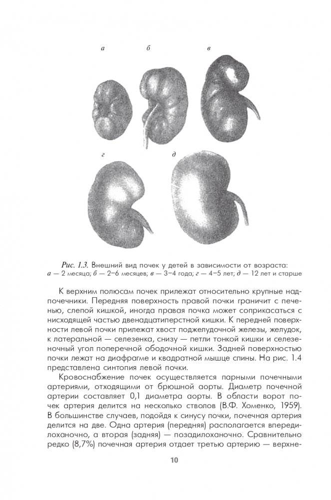 Урология детского возраста фото книги 11