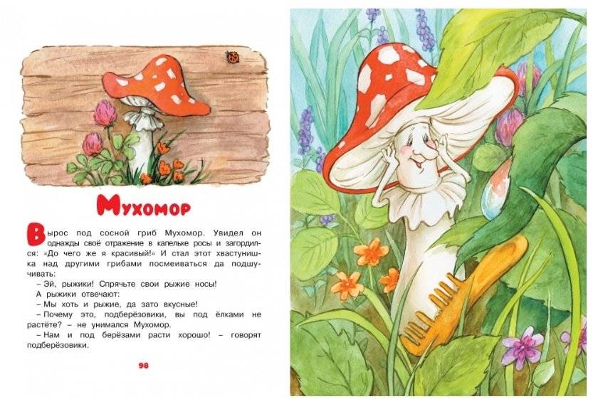 Ромашки в январе фото книги 8