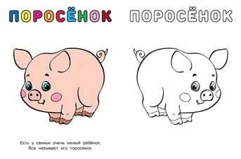 Бычок. Раскраска фото книги 2