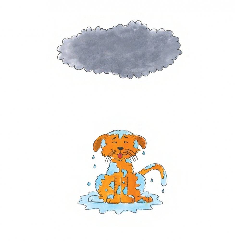 Потряси яблоню фото книги 11