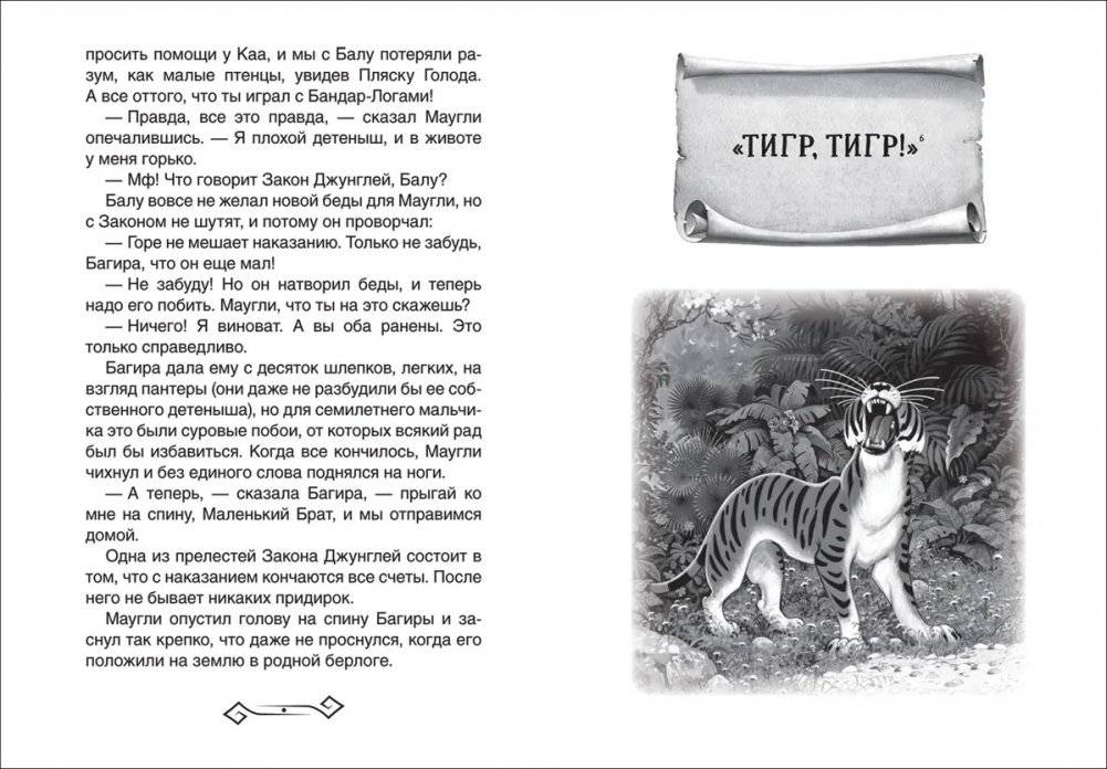 Маугли фото книги 4