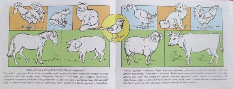 Альбом для раскрашивания. Кошка мяукает, поросенок хрюкает фото книги 2