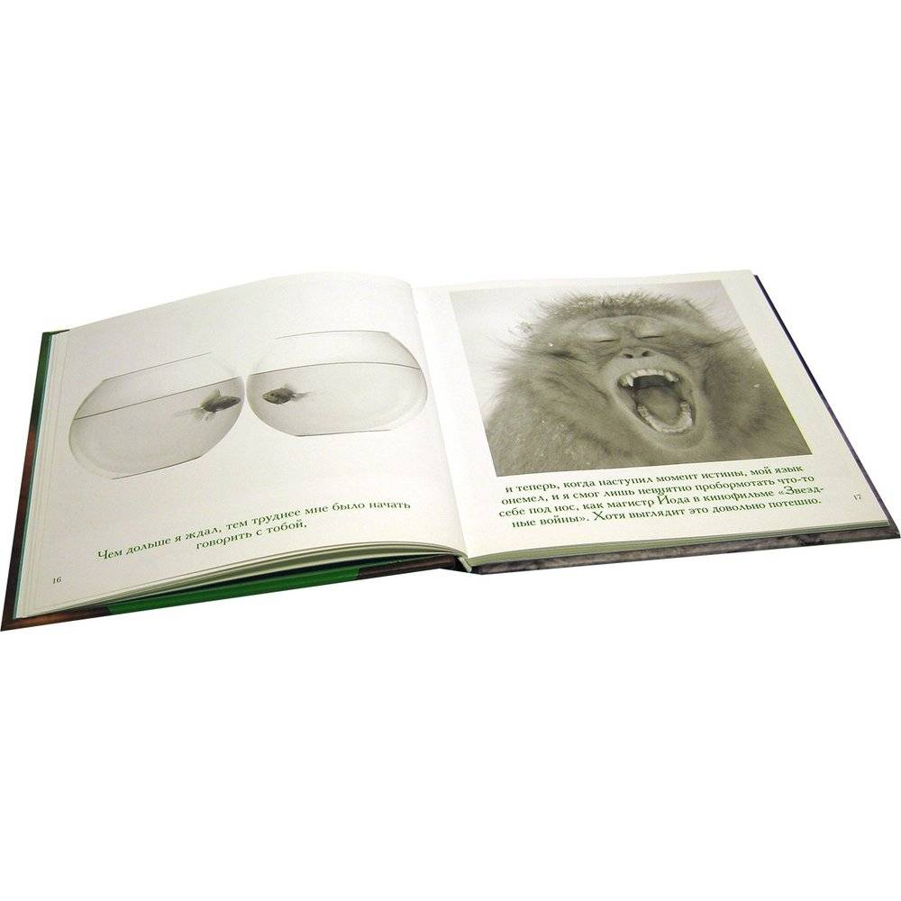 Прости меня... фото книги 4