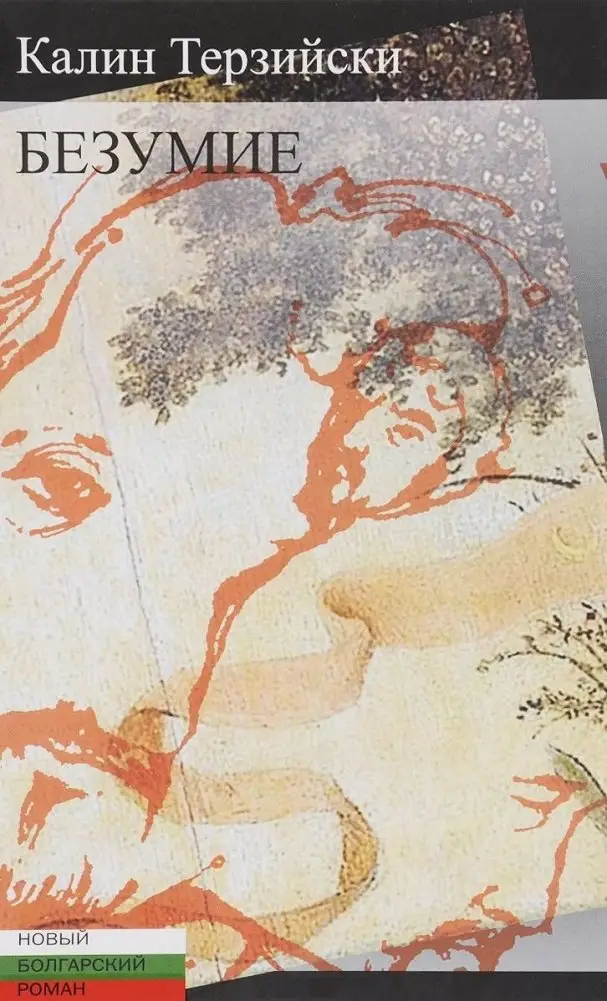 Безумие фото книги