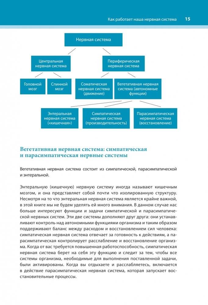 Настройка системы тело—мозг. Простые упражнения для активации блуждающего нерва против депрессии, стресса, болей в теле и проблем с пищеварением фото книги 13