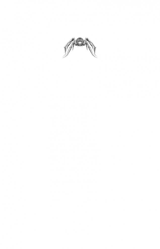 Паучья корона (#4) фото книги 2