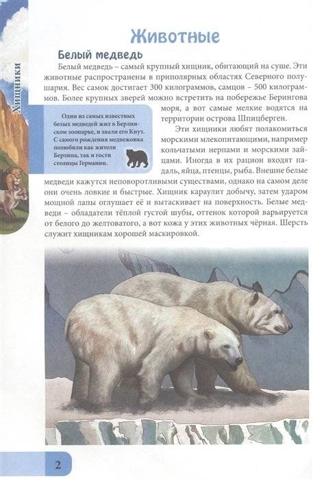Энциклопедия. Хищники фото книги 3