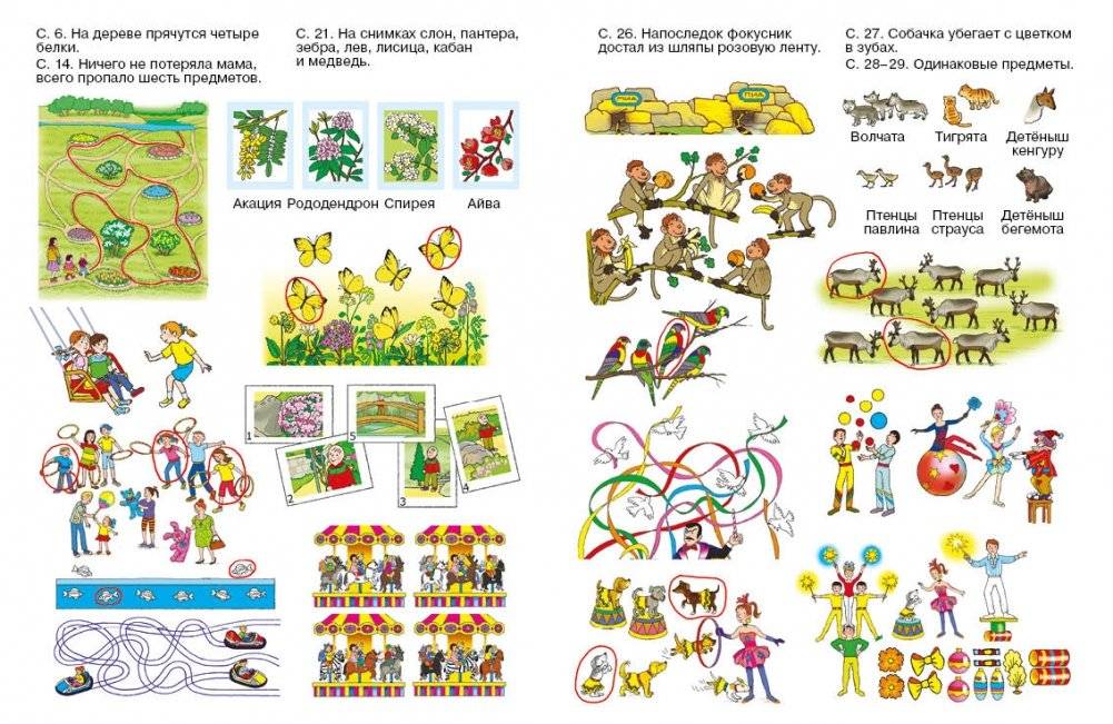 Где мы были. Игры и задачки для самых наблюдательных фото книги 5