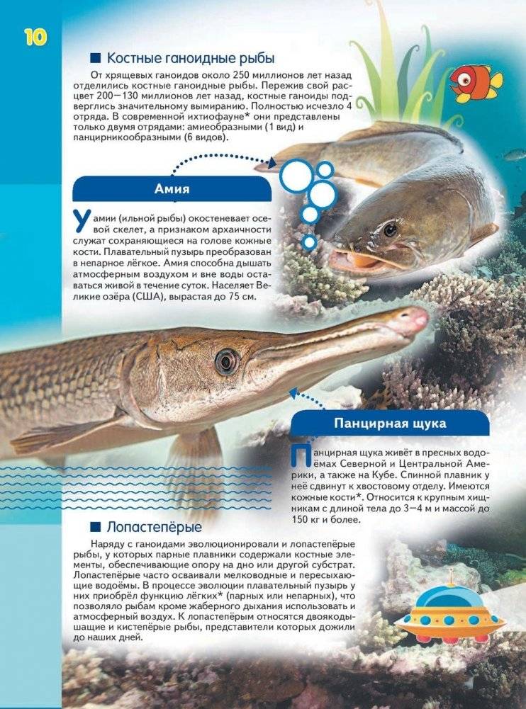 Эра динозавров фото книги 11