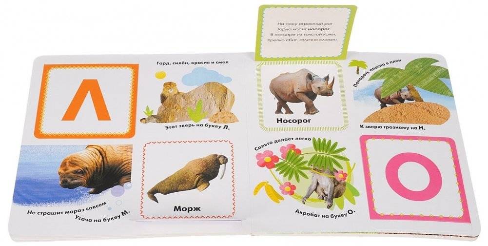 Книжки с загадками и сюрпризами. Моя первая азбука фото книги 2