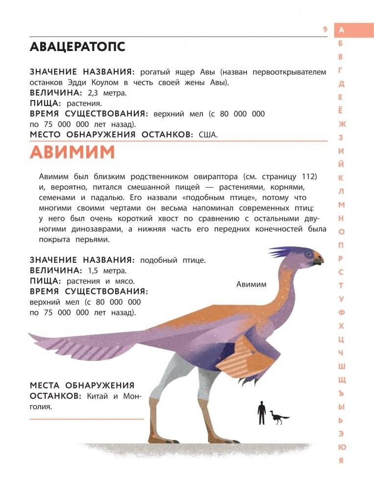 Динозавры. Полный иллюстрированный словарь фото книги 9