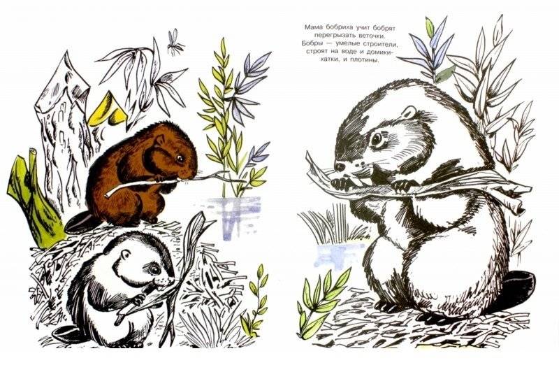 Альбом для раскрашивания. На реке фото книги 2