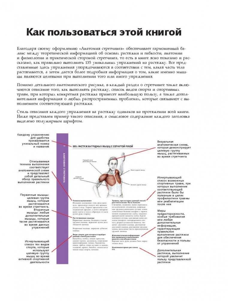 Анатомия стретчинга. Большая иллюстрированная энциклопедия фото книги 8