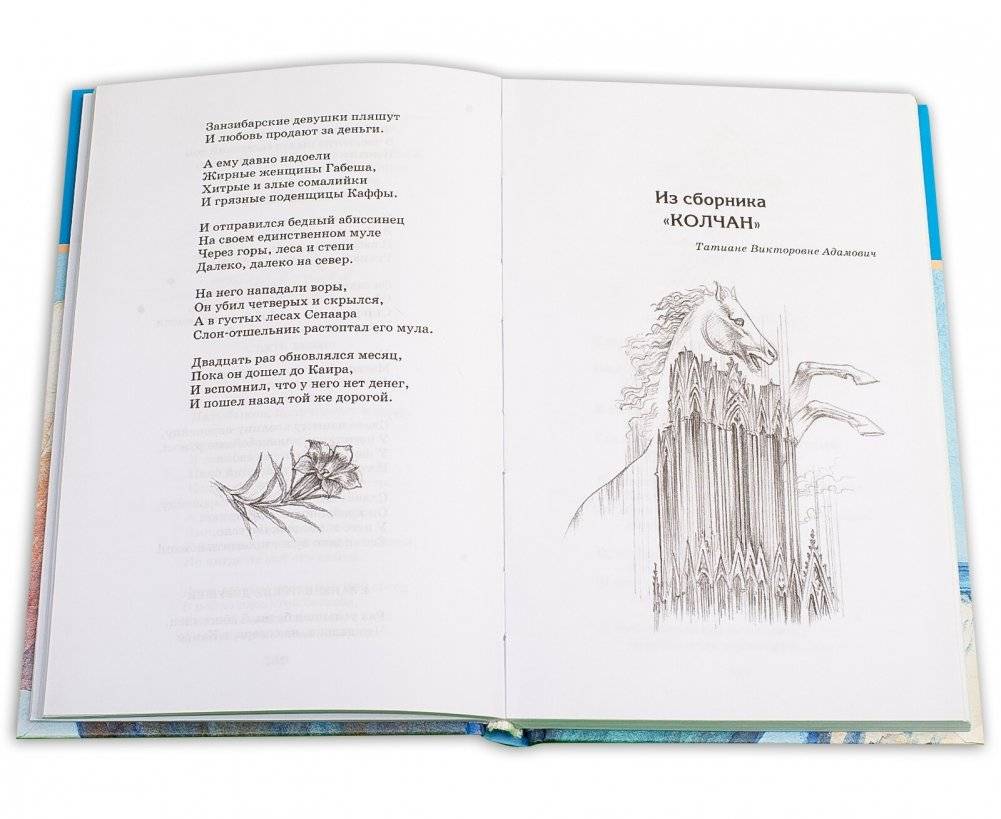 "Я конквистадор в панцире железном..." фото книги 3