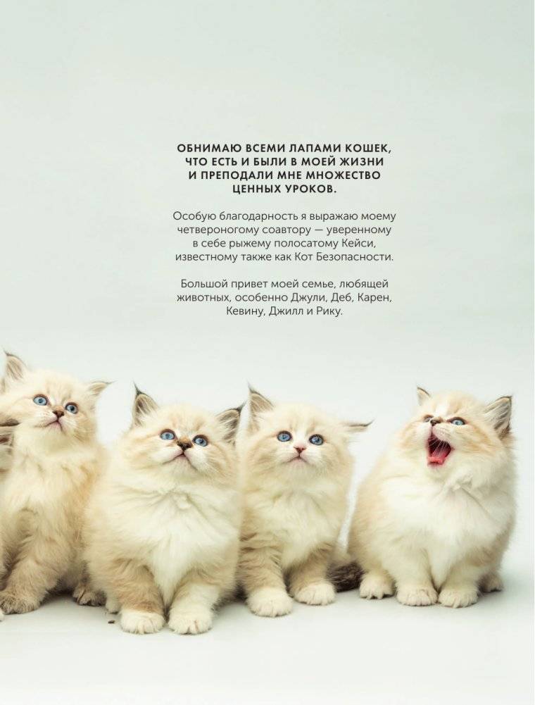 Кошки. Полное руководство для детей фото книги 4