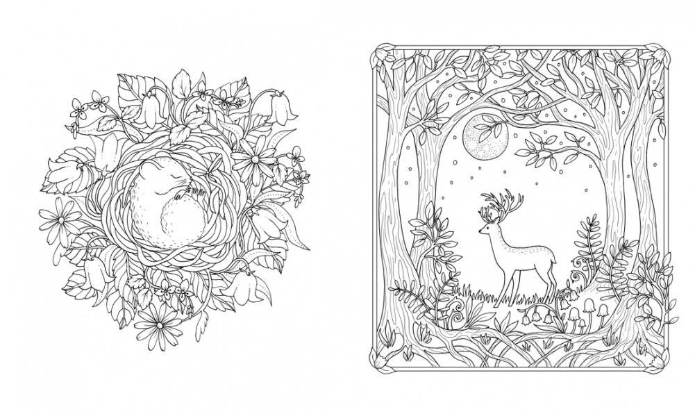 Цветочная магия фото книги 2