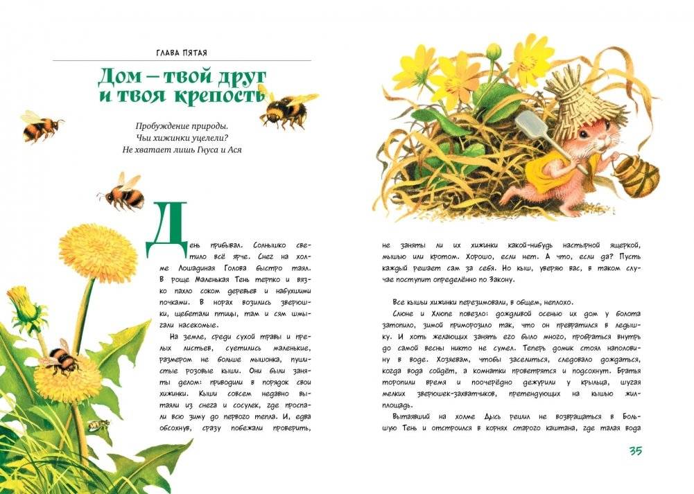 Большой Кыш фото книги 3