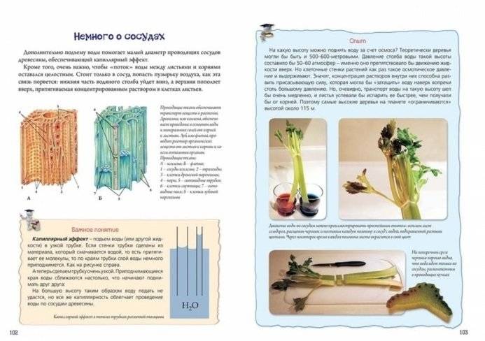 Нескучная биология с задачами и решениями фото книги 4